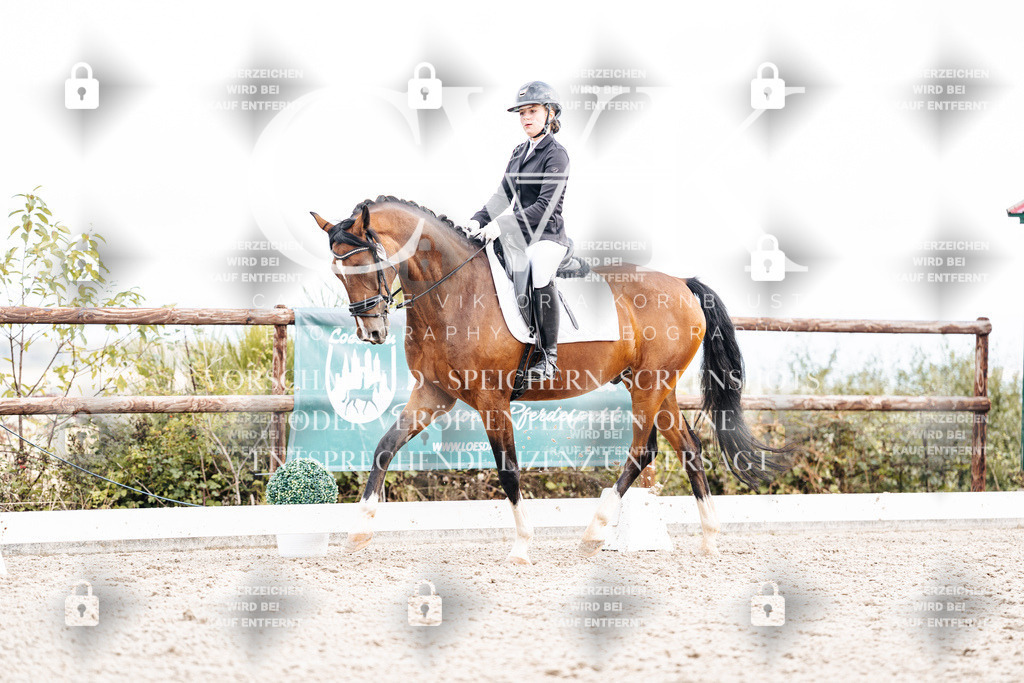 CK900992 | Turnierfotografie Pferdefotografie Trier Rheinland-Pfalz Pferdesport Reitsport Tierfotografie Sportfotografie Pferdevideo Pferdevideografie Equestrianvideography equestrianphotography  - Realisiert mit Pictrs.com