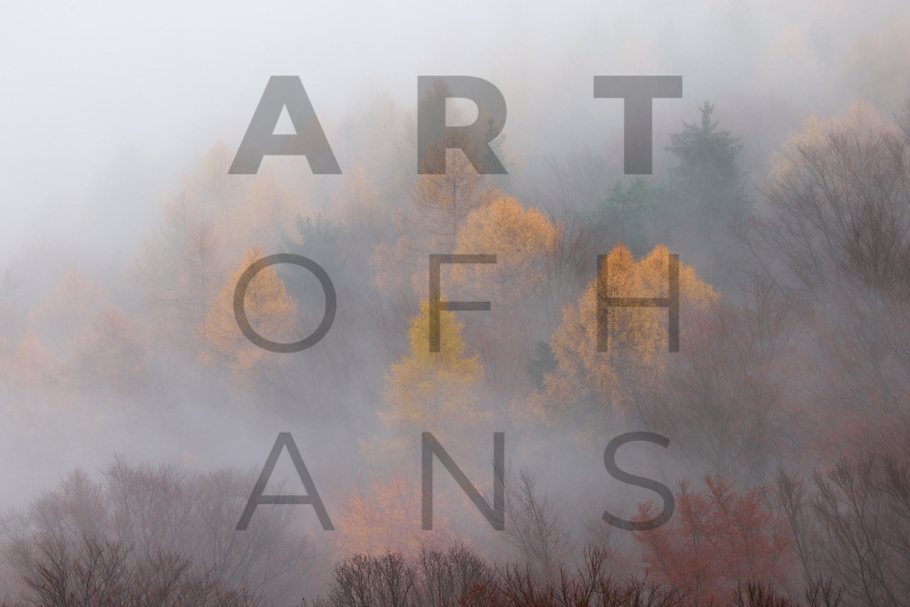 Ein Hans Fineart Original | Entdecke die Kunst von Hans Fineart - Fotografien für dein Zuhause. Verwandle deine Wände mit einzigartigen Kunstwerken und bringe die Schönheit der Welt in dein Leben. Bestelle jetzt und schaffe einen Ort der Inspiration und Eleganz.