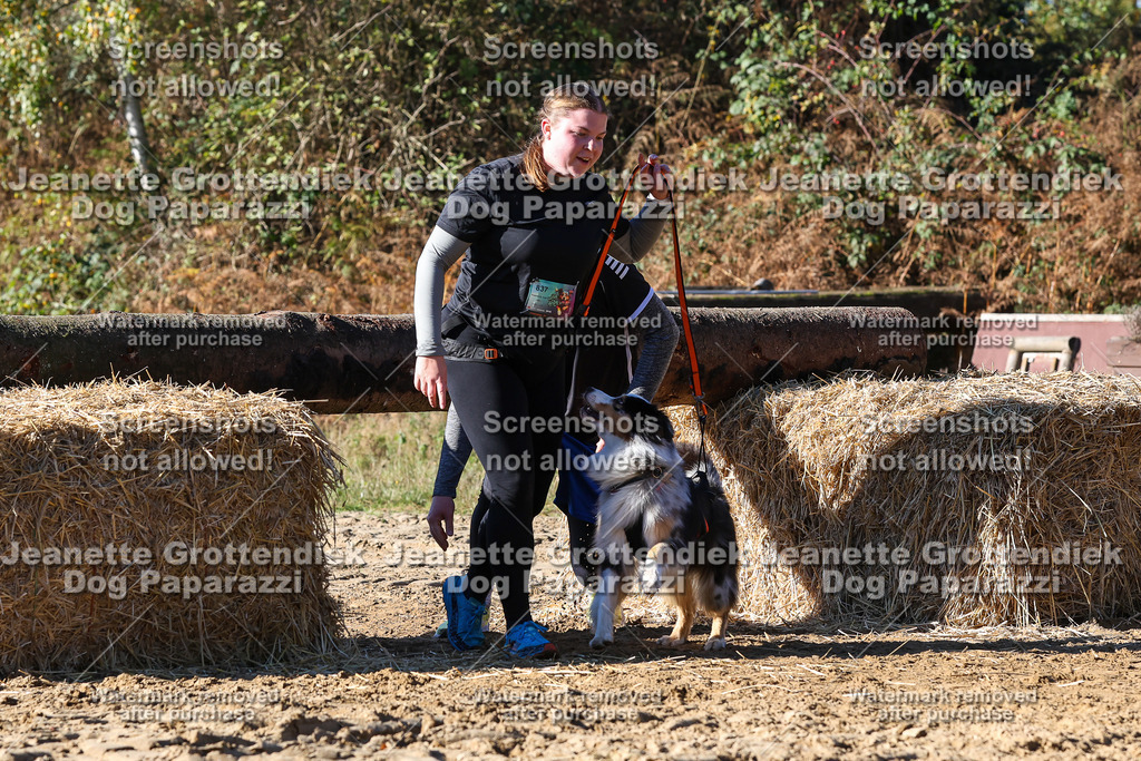 Dog Paparazzi - Strongdog 10-25-2423 | Dog Paparazzi Jeanette Grottendiek Fotografie & Videografie - Realisiert mit Pictrs.com