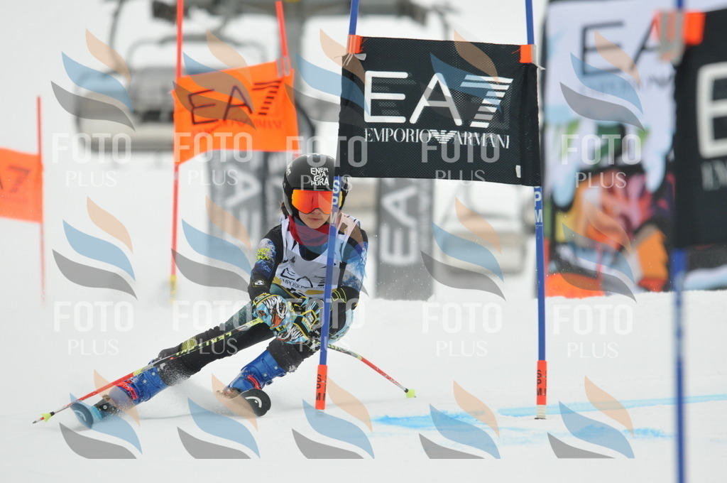 DSC_8210 | holidayphoto