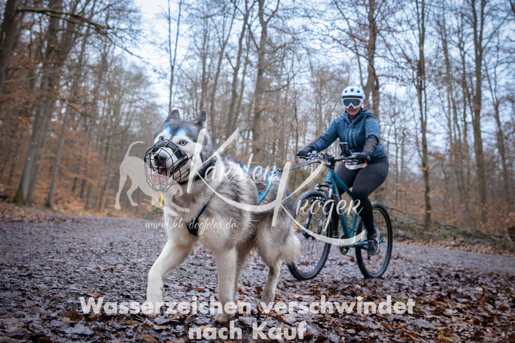 0835_ZZ94723 | kk-dogfotos