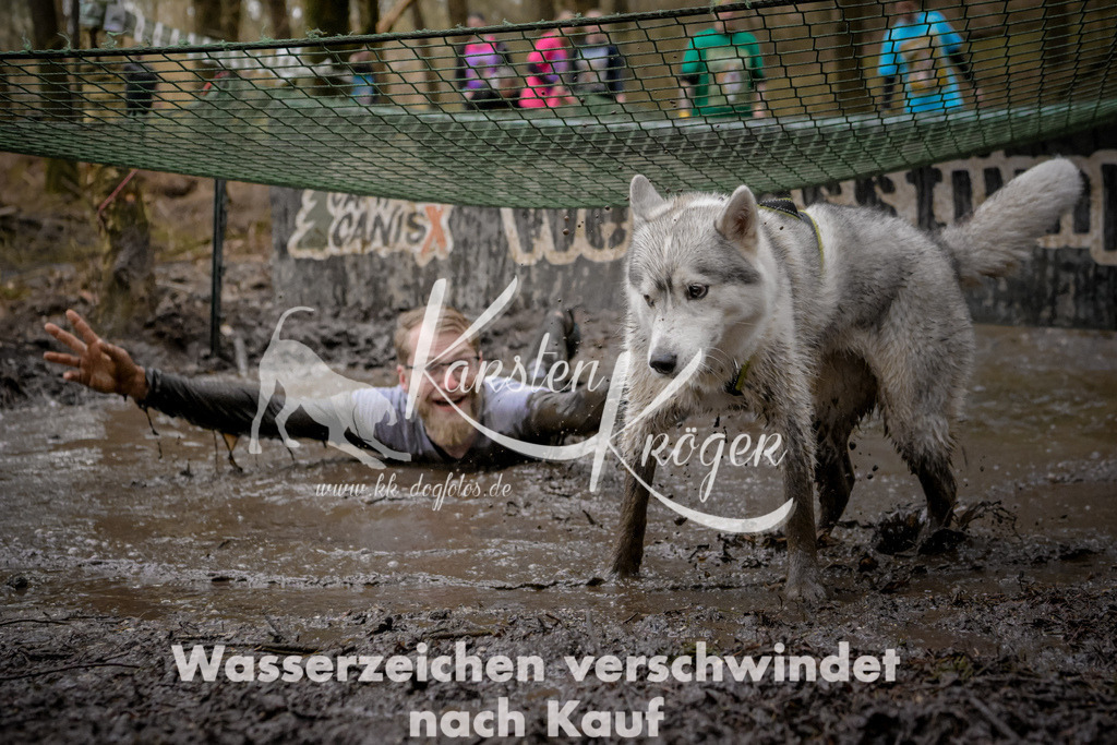 1006_ZZ99478 | kk-dogfotos