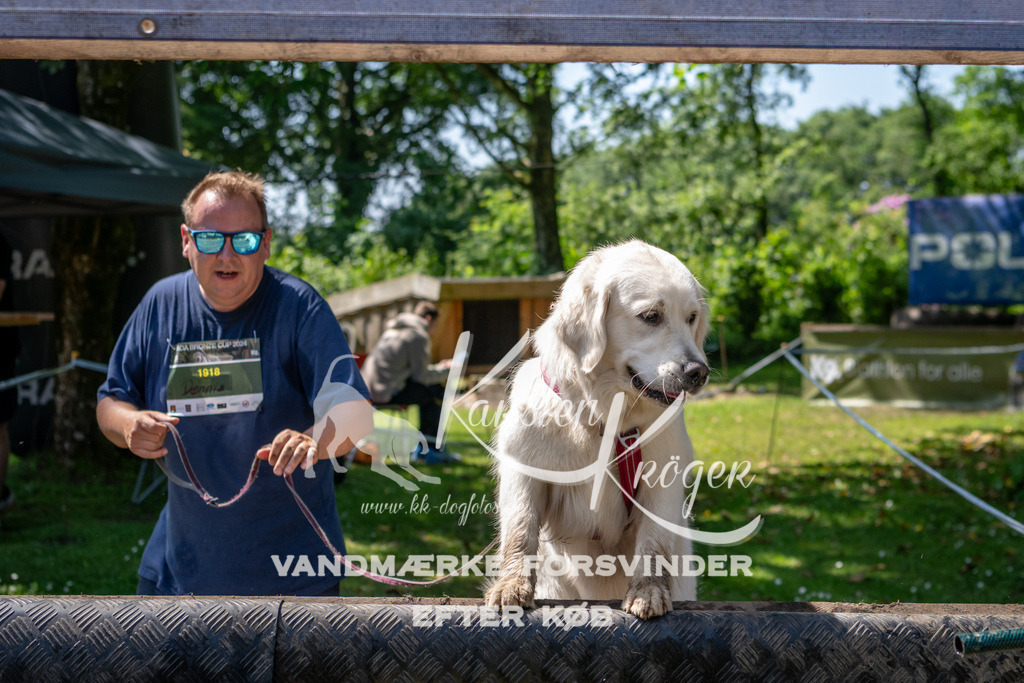 1233_ZZ91342 | kk-dogfotos