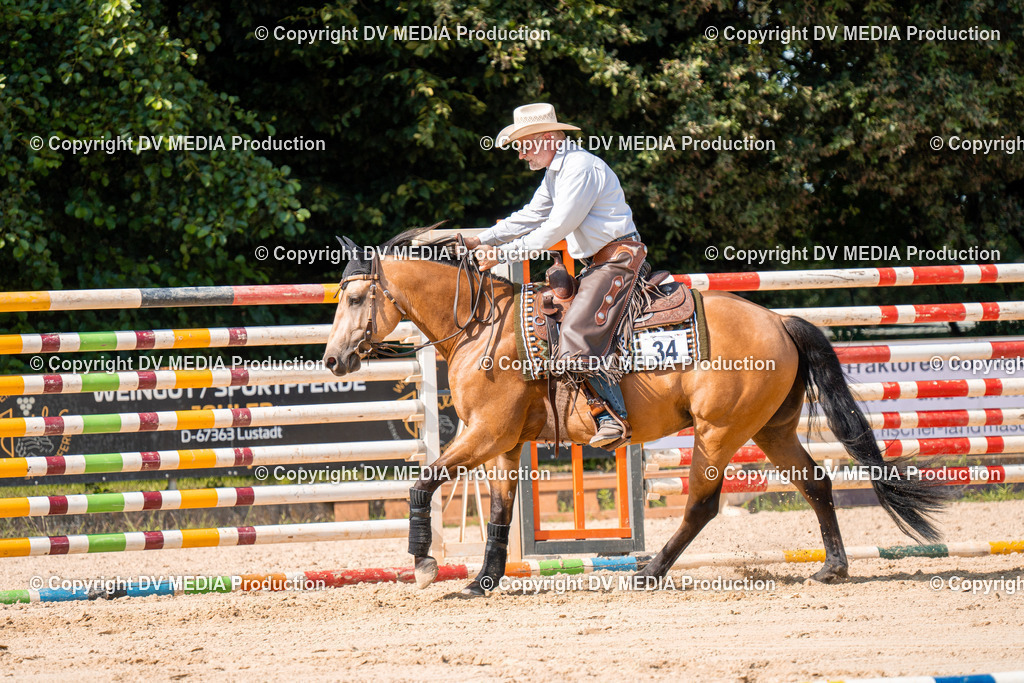 ZH100316 | dv-media-shop - Realisiert mit Pictrs.com