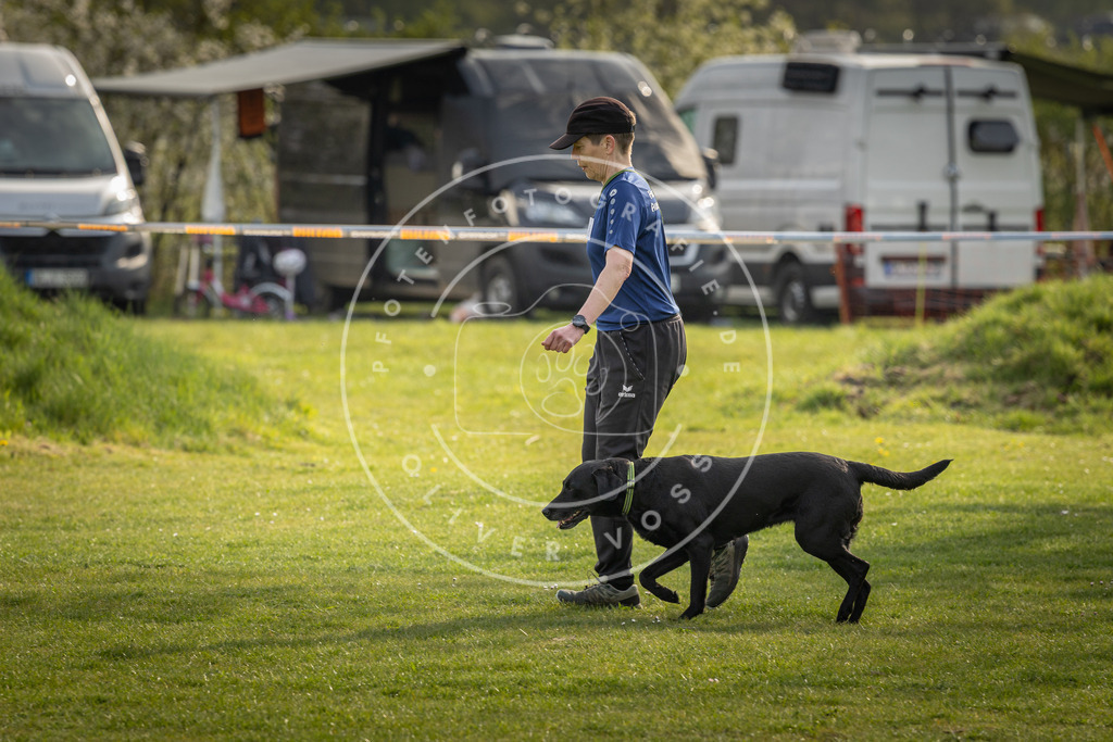 Pfotenfotografie_DV3A4886 | Hundefotografie, Tierfotograf, Pfotenfotografie, Fotoshooting Hund, Hunde Portrait, Hundesport, Hundeportraits, Heideshooting, Hunde, Sportfotograf, Hundefotograf, Turnierhundsport, THS,  - Realisiert mit Pictrs.com
