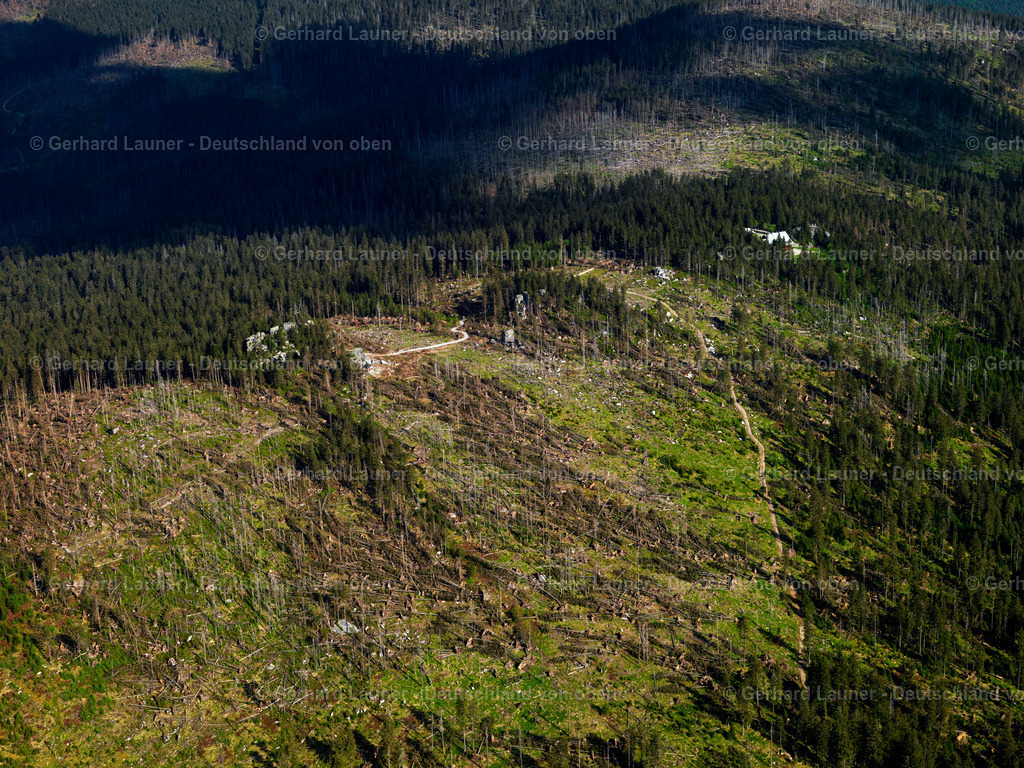 2725082 | freyung200507 596