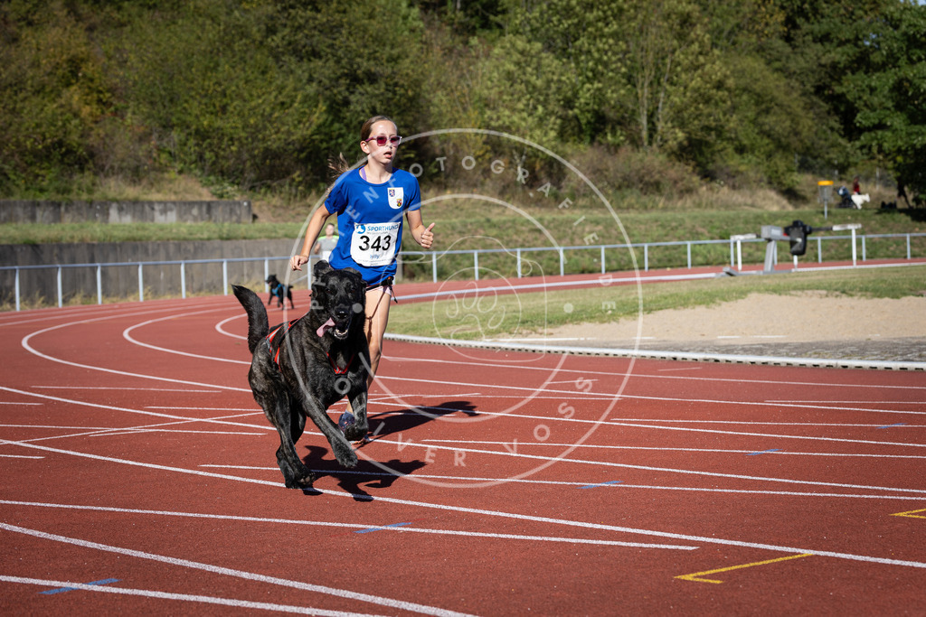 Pfotenfotografie_DV3A8642 | Hundefotografie, Tierfotograf, Pfotenfotografie, Fotoshooting Hund, Hunde Portrait, Hundesport, Hundeportraits, Heideshooting, Hunde, Sportfotograf, Hundefotograf, Turnierhundsport, THS,  - Realisiert mit Pictrs.com