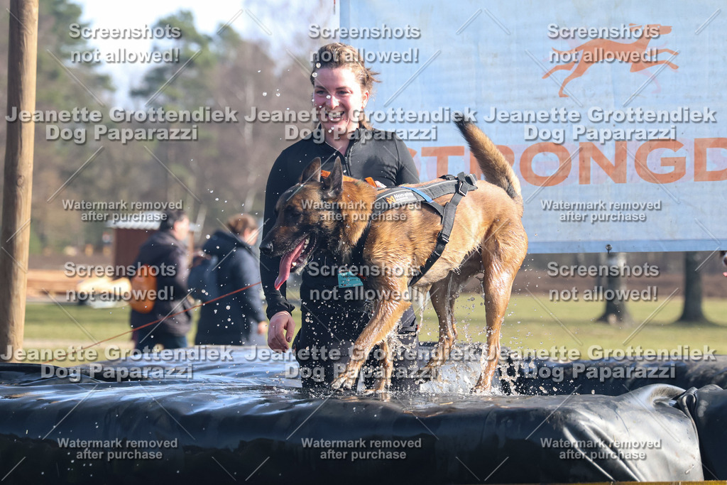 Dog Paparazzi - Strongdog North Mrz26-1177 | Dog Paparazzi Jeanette Grottendiek Fotografie & Videografie - Realisiert mit Pictrs.com