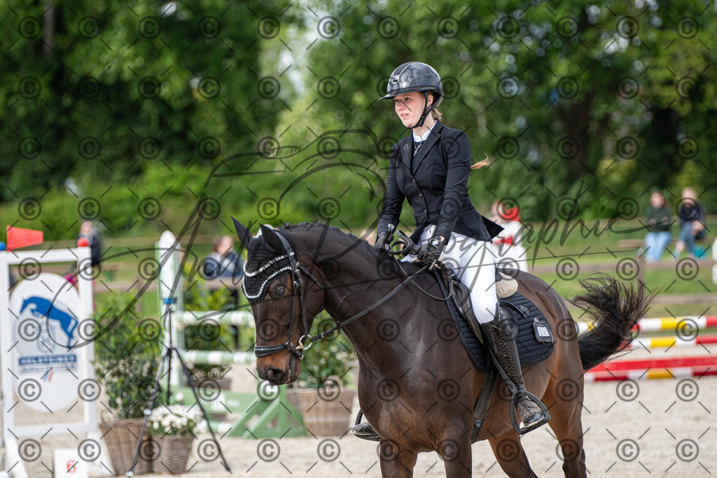 KPT_6510 | andre_photographic