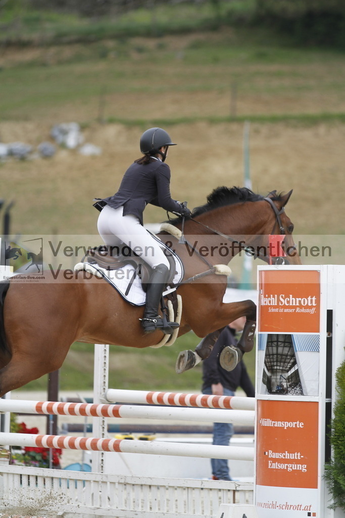 _MG_1293 | equestrian-live-com