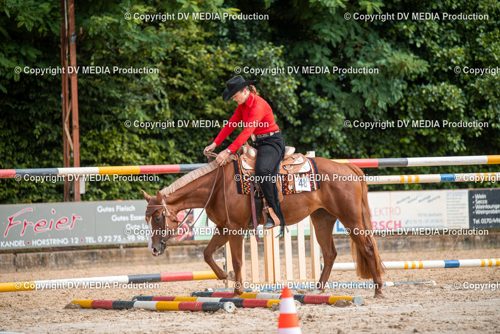 ZS3_9321 | dv-media-shop - Realisiert mit Pictrs.com