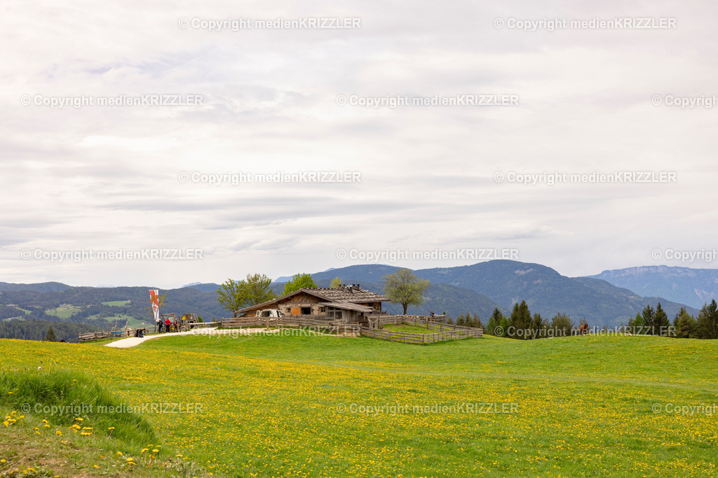 Tuff Alm | medienkrizzler - Realisiert mit Pictrs.com