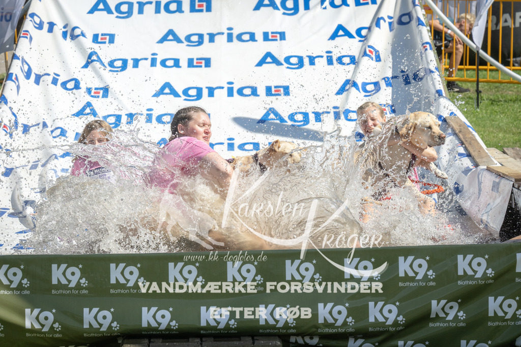 1151_ZZ94397 | kk-dogfotos
