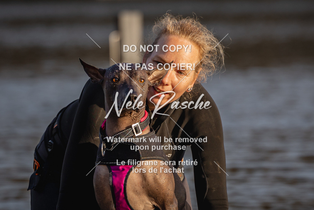 nelerasche_Hulsbeek_Sa1700-1730_198 | nelerasche