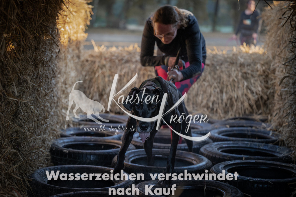 0933_ZZ93540 | kk-dogfotos