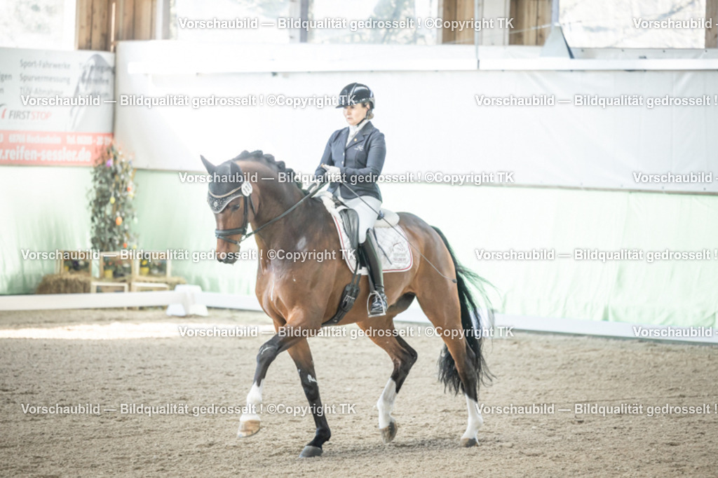 _D5A0764 | Emotionale Pferde- & People-Fotografie rund um Heidelberg, Leimen & Umgebung. Natürliche Fotos von Pferd, Mensch & Familie. Jetzt Termin sichern!