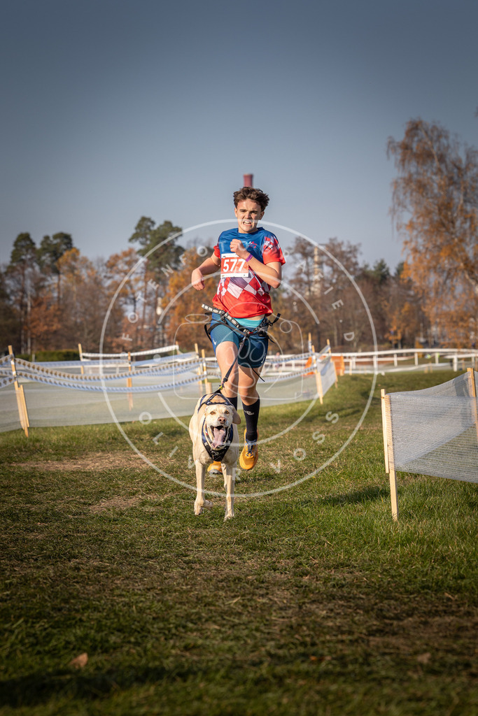 CaniXpix_0L8A9513 | Hundefotografie, Tierfotograf, Pfotenfotografie, Fotoshooting Hund, Hunde Portrait, Hundesport, Hundeportraits, Heideshooting, Hunde, Sportfotograf, Hundefotograf, Turnierhundsport, THS,  - Realisiert mit Pictrs.com