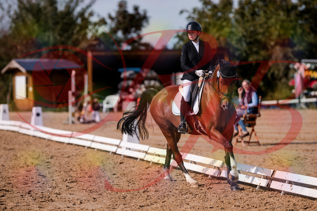 2026_10_03_Siefer-Hof_131848_Z81_66648805 | Professionelle Reitsport-, Turnier- und Eventfotografie von Robert Broda. Galerien mit ausgewählten und bearbeiteten Bildern direkt online ansehen und bestellen.