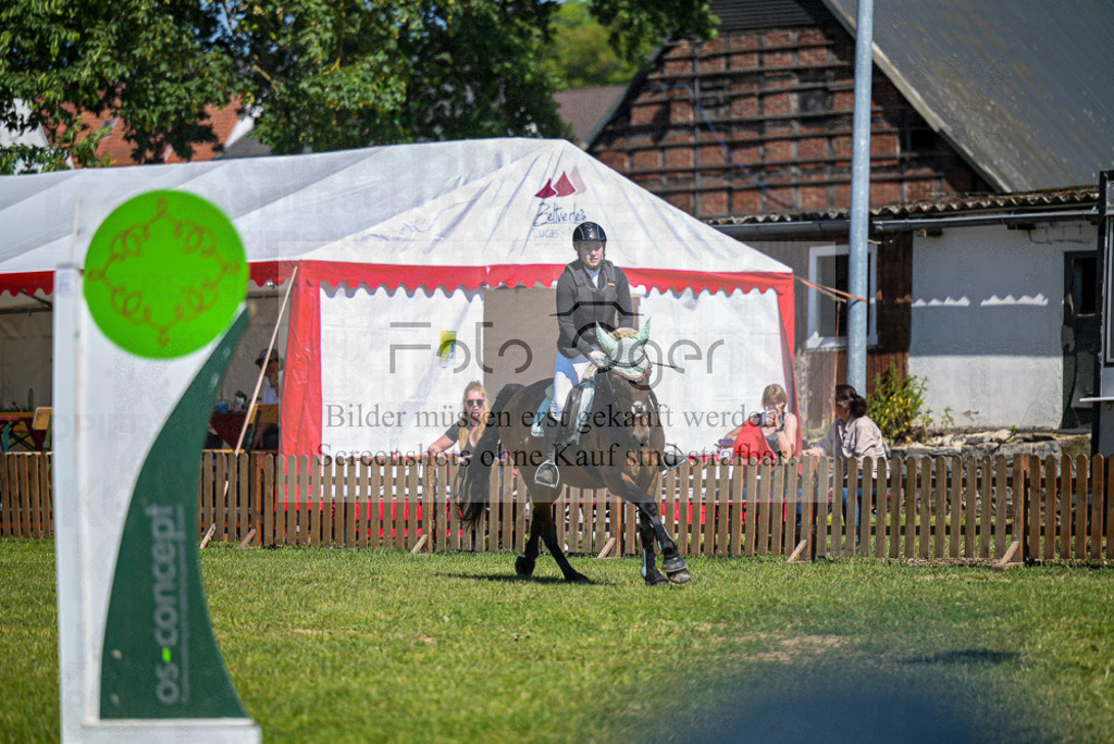 Reitturnier Voxtrup | Entdecke hochwertige Reitturnierfotos von Foto Oger. Professionell, emotional und authentisch – jetzt Lieblingsmomente im Shop bestellen. - Realisiert mit Pictrs.com