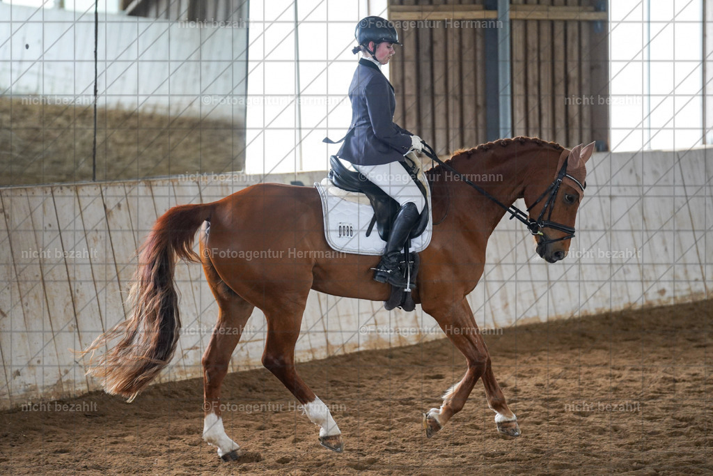20230520-FAH05381 | Frühjahrsturnier, Landsberg am Lech, 2023, Reitclub Landsberg, Turnierbilder, Fotos Turnier Landsberg, Fotoagentur Herrmann, Turnierfotografen Bayern, Reitsport Fotograf, Pferde Fotograf