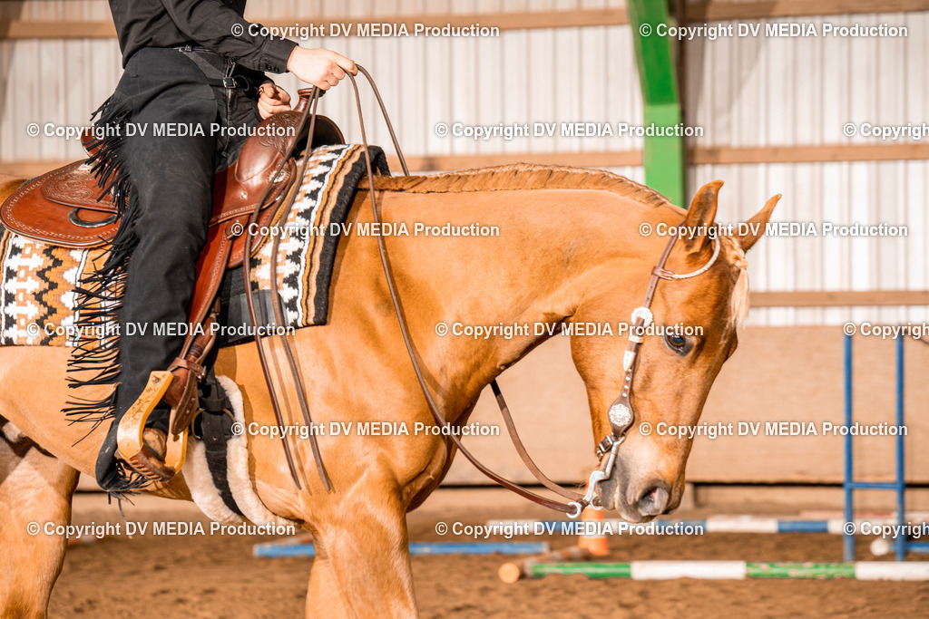 BA400050 | dv-media-shop - Realisiert mit Pictrs.com