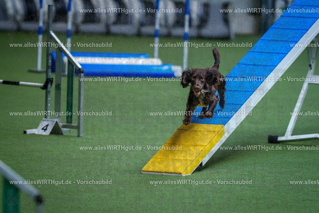 @allesWIRTHgut_Tierfotografie - www.allesWIRTHgut.de - 2604260826-7R506913 | Professionelle Tierfotografie in Mönchengladbach von Daniel Wirth (allesWIRTHgut). Liebevolle & natürliche Bilder von Hunden & Katzen für unvergessliche Erinnerungen.