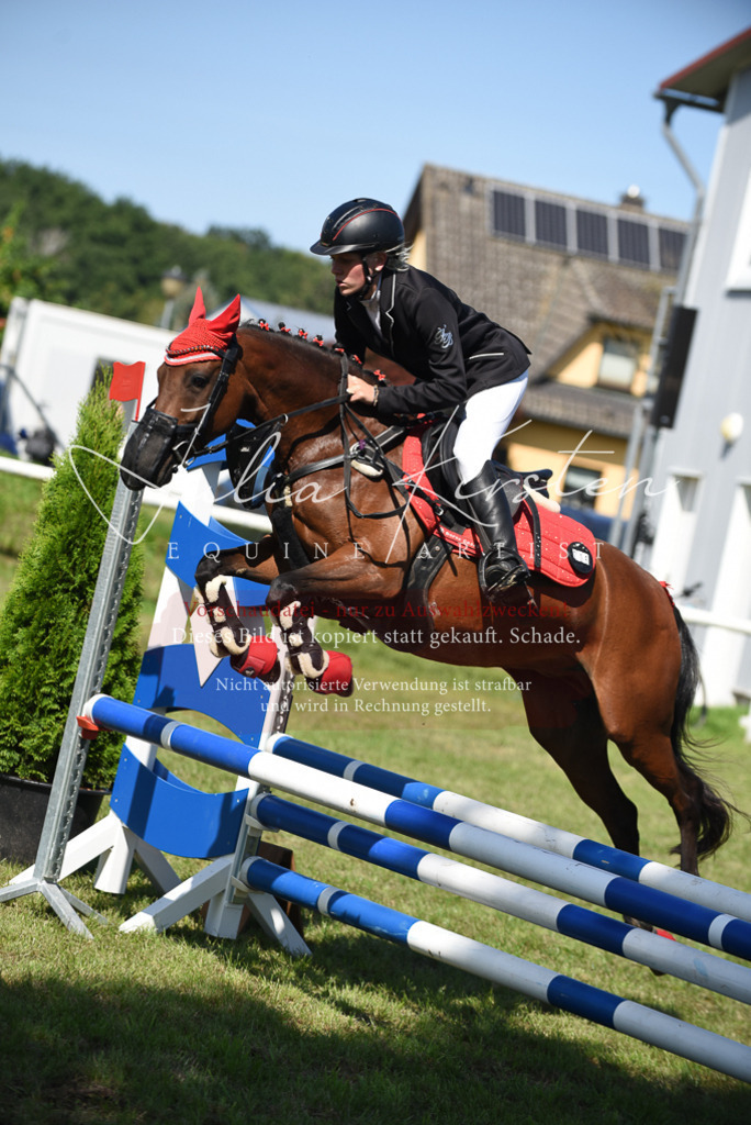DSC_9271 | Pferde- und Turnierfotografie in Westsachsen. Pferdeportraits, Auftragszeichnungen und intuitive Kunst.