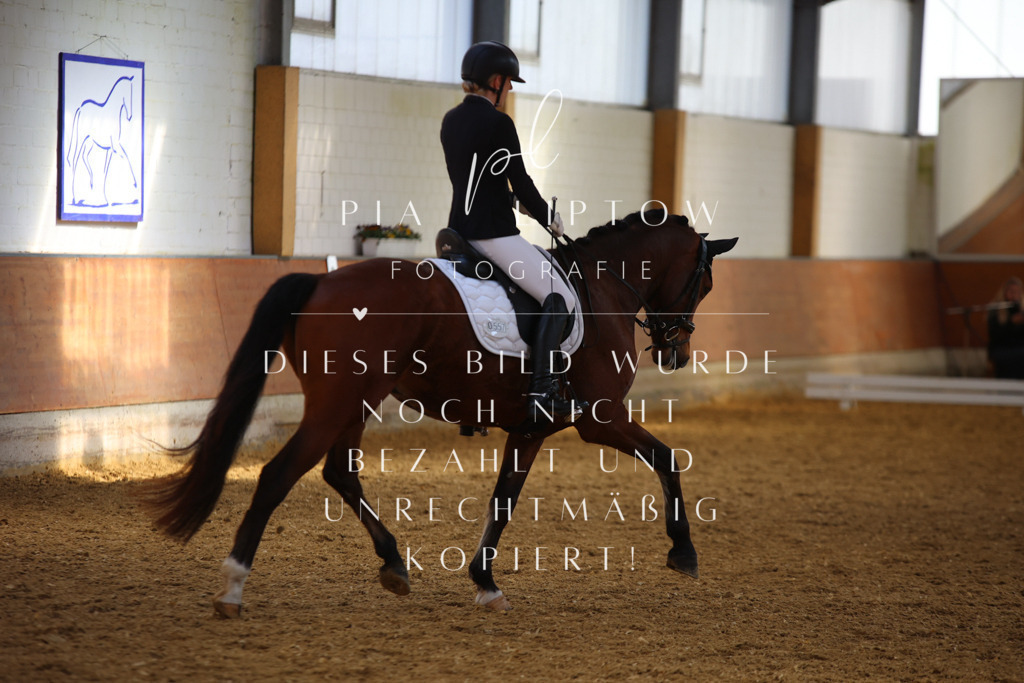 IMGT4341 | pl-fotografie