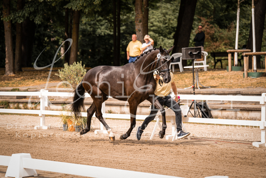 4.Fr00073 | Leoni Ertmer Photography - Realisiert mit Pictrs.com