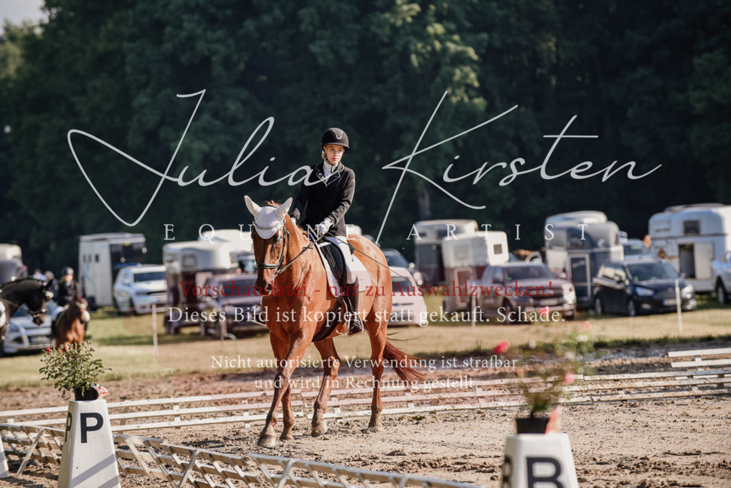 DSC_7727 | Pferde- und Turnierfotografie in Westsachsen. Pferdeportraits, Auftragszeichnungen und intuitive Kunst.