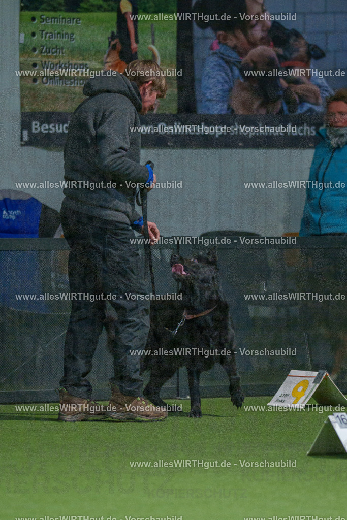 7R508125 | Professionelle Tierfotografie in Mönchengladbach von Daniel Wirth (allesWIRTHgut). Liebevolle & natürliche Bilder von Hunden & Katzen für unvergessliche Erinnerungen.