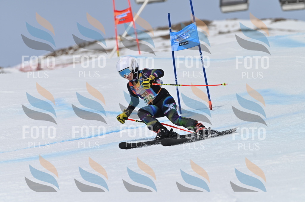 BGV_5435 | holidayphoto