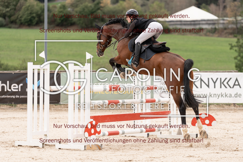 DSC06428 | Springturnier_Teamchallege_Talheim_2026, Lara-Sophie_Strohm, Champ_Charming