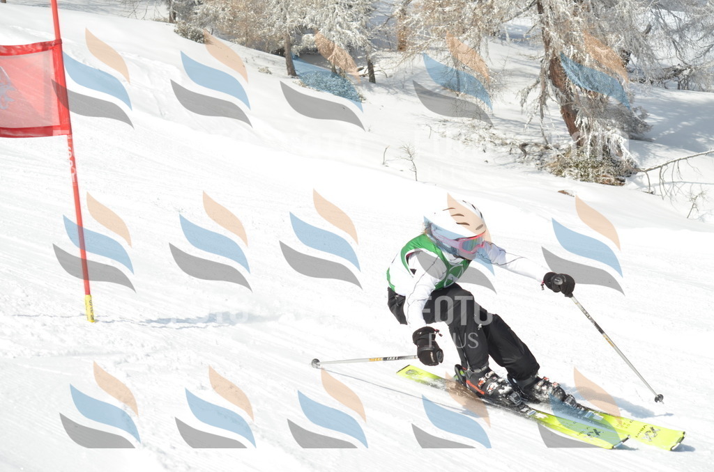 D8909 | holidayphoto