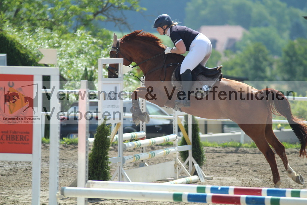 IMG_3366 | equestrian-live-com