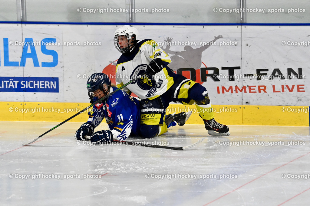LADY HAWKS vs. WILDCATS PATERNION | #4 Oberzaucher Christina WILDCATS PATERNION, #11 Zechner Annika LADY HAWKS, LADY HAWKS vs. WILDCATS PATERNION, LADY HAWKS vs. WILDCATS PATERNION am 12.03.2025 in Steindorf (Ossiachersee Halle), Austria, (Photo by Bernd Stefan)