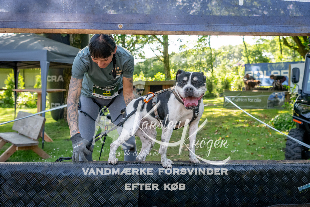 1541_ZZ92848 | kk-dogfotos