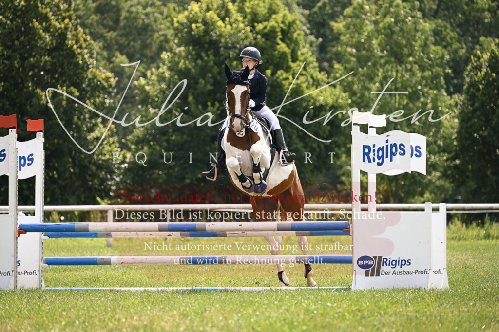 DSC_9067 | Pferde- und Turnierfotografie in Westsachsen. Pferdeportraits, Auftragszeichnungen und intuitive Kunst.