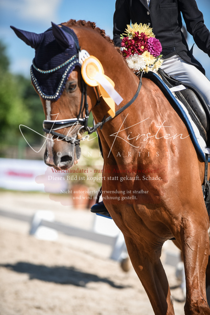 DSC_9753 | Pferde- und Turnierfotografie in Westsachsen. Pferdeportraits, Auftragszeichnungen und intuitive Kunst.