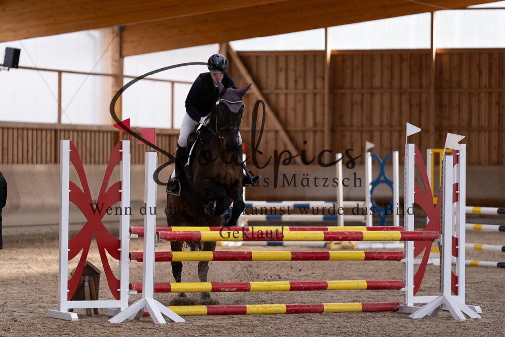 A7507745 | Pferdefotograf