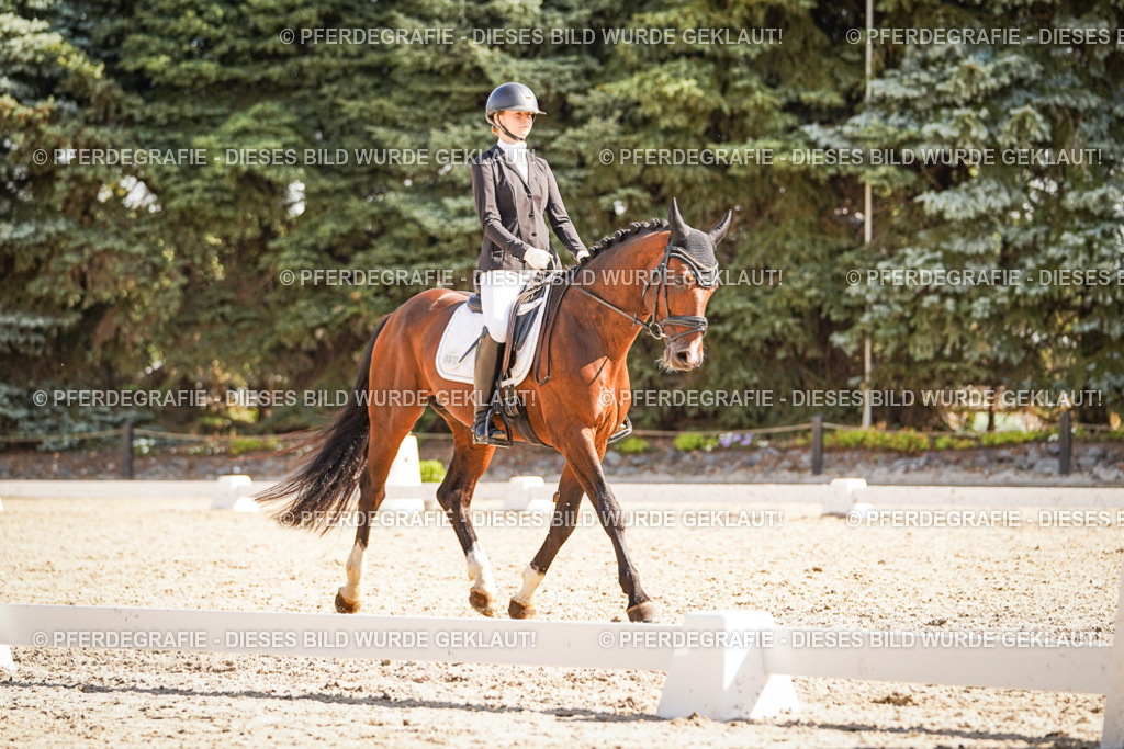 DSC00366 | Pferdegrafie