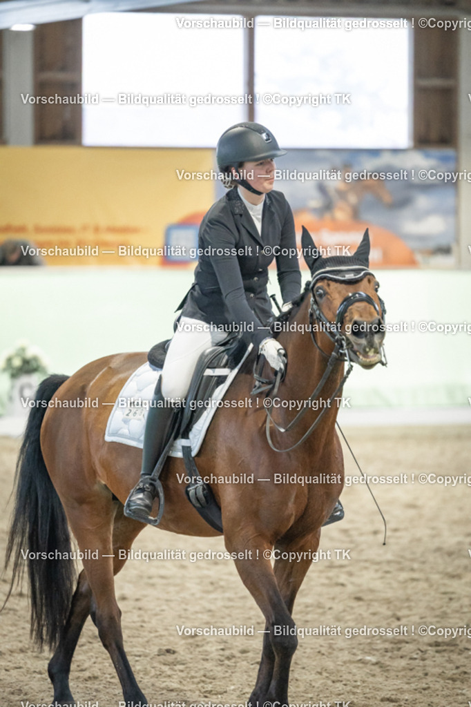 _D5A3595 | Emotionale Pferde- & People-Fotografie rund um Heidelberg, Leimen & Umgebung. Natürliche Fotos von Pferd, Mensch & Familie. Jetzt Termin sichern!