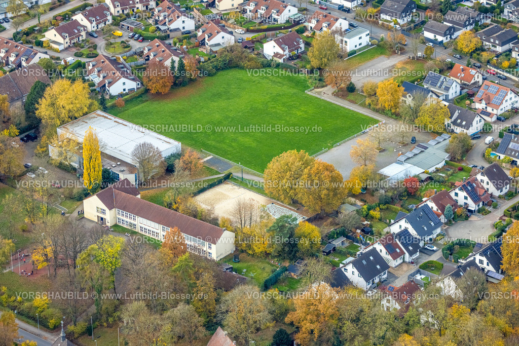 Hagen251101471 | Luftbild, Grundschule und Sportplatz Halden, herbstliche Bäume, Lennetal, Hagen, Ruhrgebiet, Nordrhein-Westfalen, Deutschland