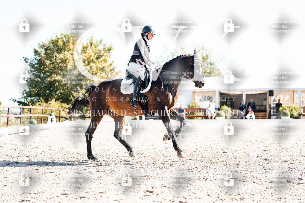 CK908727 | Turnierfotografie Pferdefotografie Trier Rheinland-Pfalz Pferdesport Reitsport Tierfotografie Sportfotografie Pferdevideo Pferdevideografie Equestrianvideography equestrianphotography  - Realisiert mit Pictrs.com