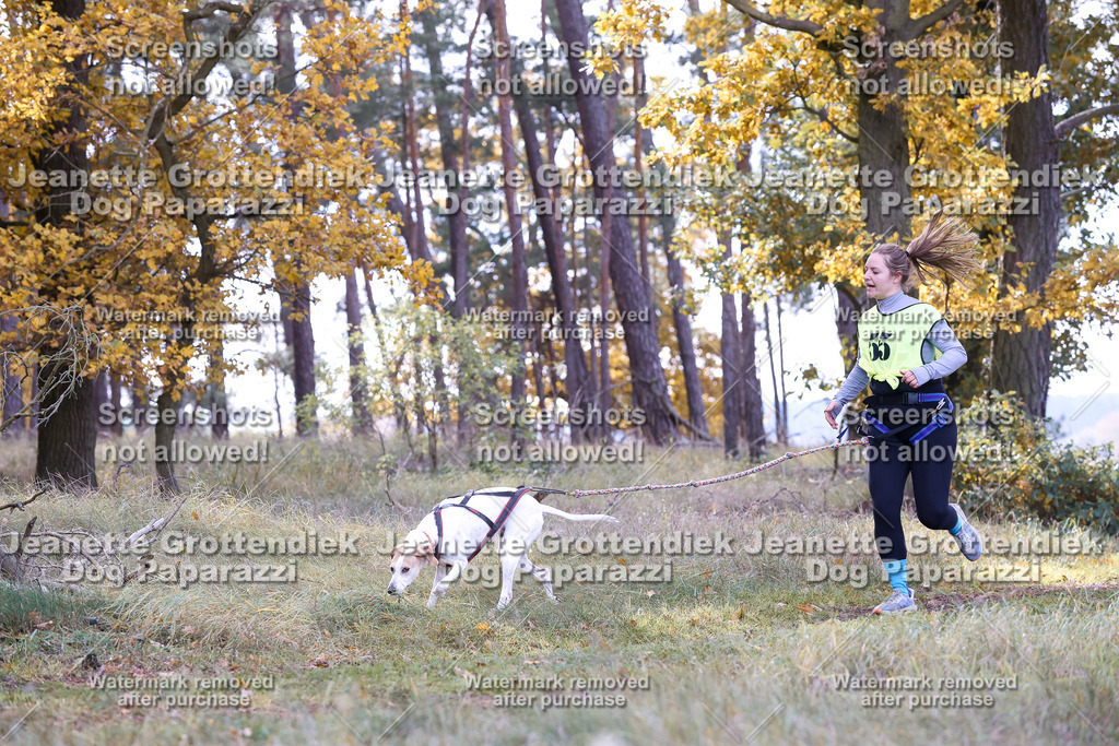 Dog Paparazzi - Elsholz 25 -204 | Dog Paparazzi Jeanette Grottendiek Fotografie & Videografie - Realisiert mit Pictrs.com