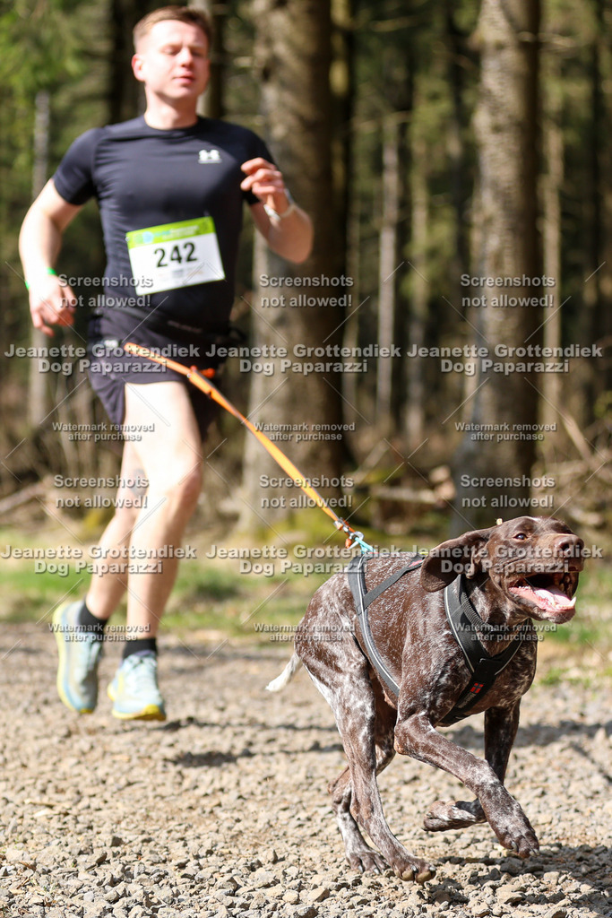 Dog Paparazzi - VCC26-317 | Dog Paparazzi Jeanette Grottendiek Fotografie & Videografie - Realisiert mit Pictrs.com