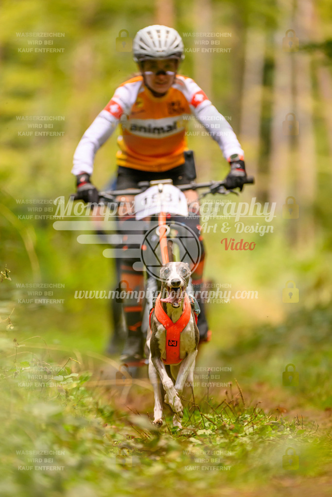 MompixPhotography_Yens2025_B2-125 | PayLife