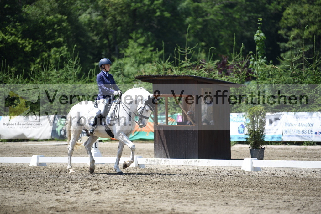 DSC_0252 | equestrian-live-com