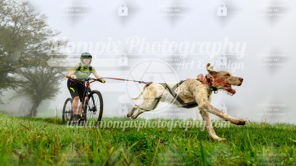 MompixPhotography_20TSB_E5_DS1-52 | PayLife