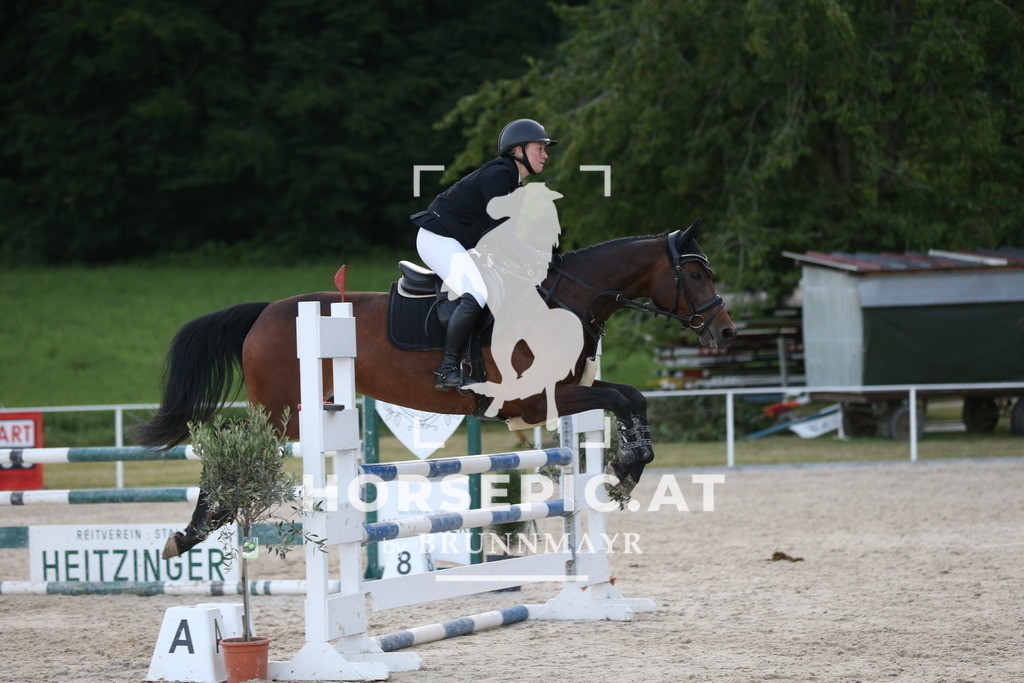 DL2Q8412 | Willkommen bei Brunnmayr - Design & Fotografie – Ihrem Spezialisten für Reitturniere und Pferdeveranstaltungen in Oberösterreich, Salzburg und Bayern! Seit über 17 Jahren sind wir leidenschaftlich dabei.